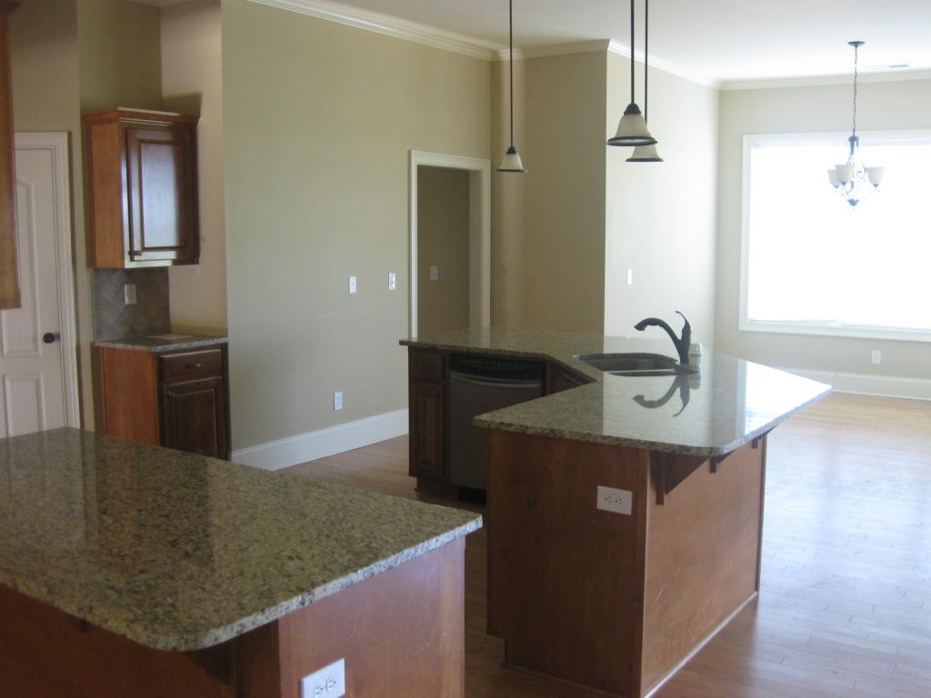 3104 Alhambra Cir, Hampton, GA 30228 photo 3