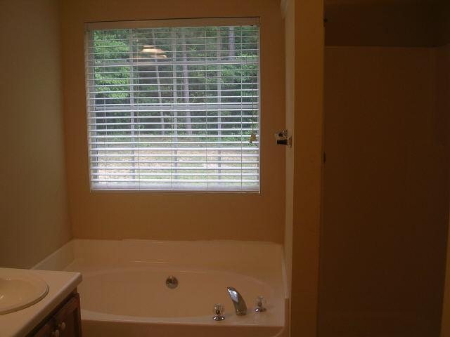 328 Cascade Ct, Hampton, GA 30228 photo 9