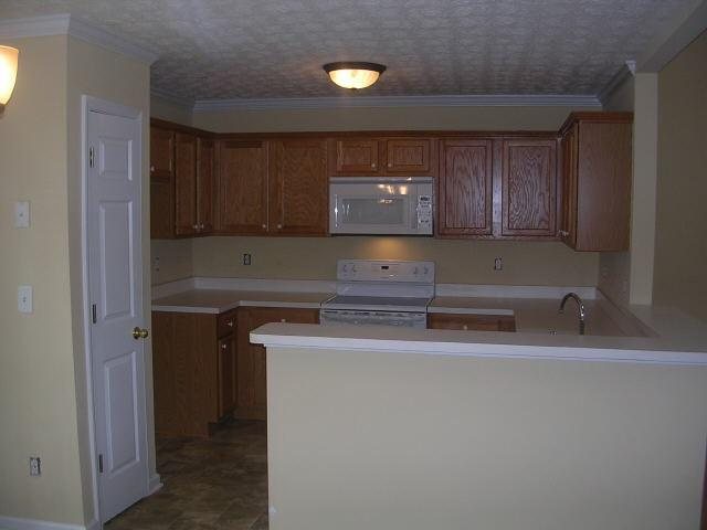 328 Cascade Ct, Hampton, GA 30228 photo 5