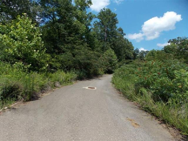 334 India Ln, Canton, GA 30114 photo 5
