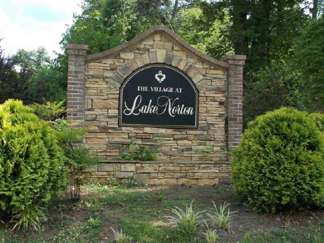 334 India Ln, Canton, GA 30114 photo 1