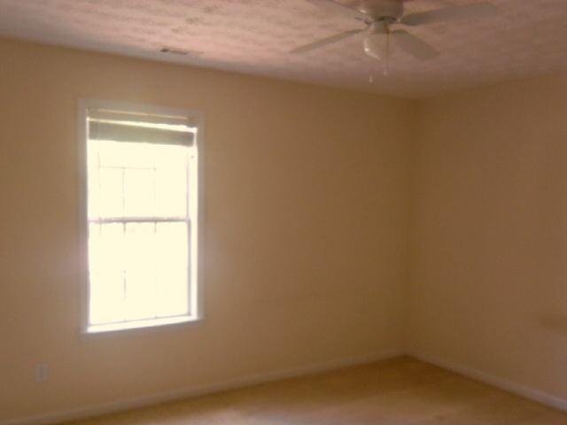 2029 Elm Grove Ln, Hampton, GA 30228 photo 6