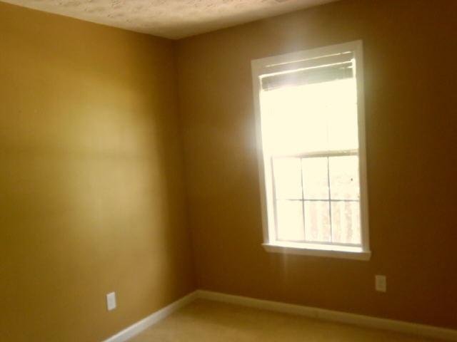 2029 Elm Grove Ln, Hampton, GA 30228 photo 5