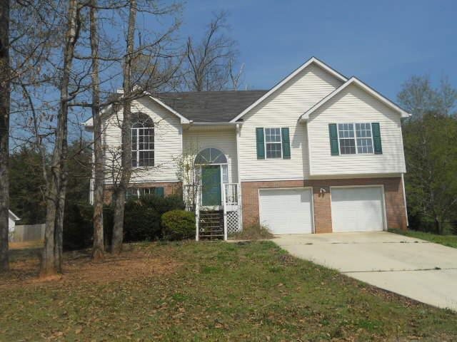 313 Lacebark Ln, Hampton, GA 30228 photo 1