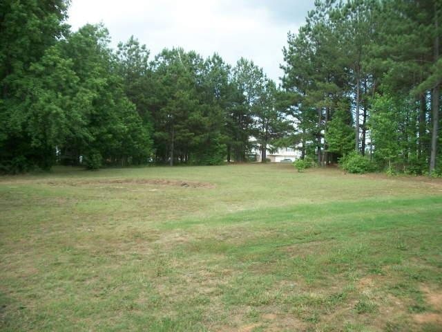 10936 Hondal Ct, Hampton, GA 30228 photo 2