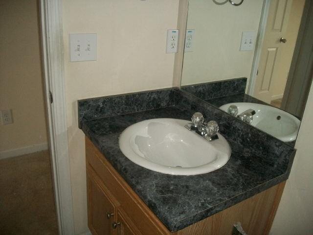 10936 Hondal Ct, Hampton, GA 30228 photo 9