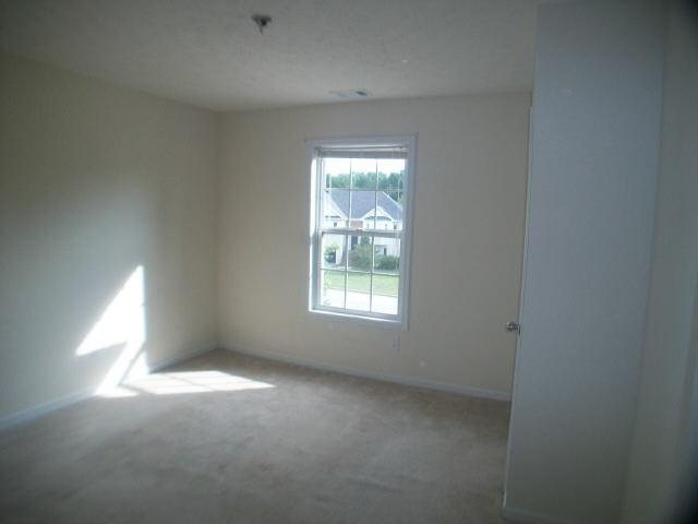 10936 Hondal Ct, Hampton, GA 30228 photo 8