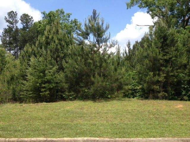 304 Maddox Pl, Canton, GA 30114 photo 2