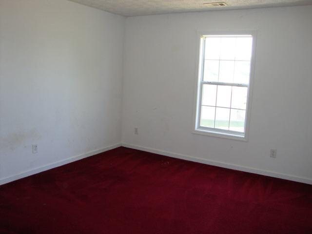 133 Sadies Ridge Ct, Hampton, GA 30228 photo 7