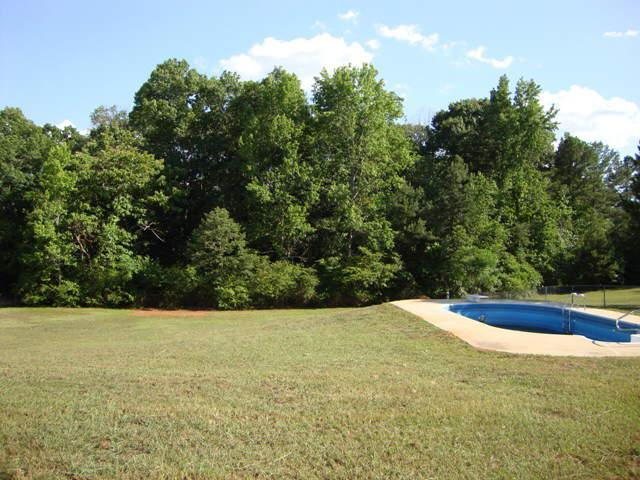 133 Sadies Ridge Ct, Hampton, GA 30228 photo 2