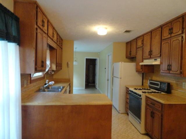 1317 Panhandle Way, Hampton, GA 30228 photo 4