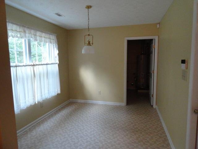 1317 Panhandle Way, Hampton, GA 30228 photo 5