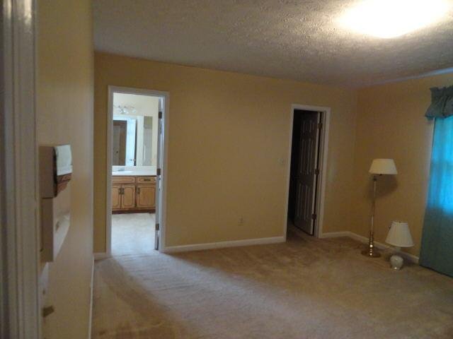 1317 Panhandle Way, Hampton, GA 30228 photo 9