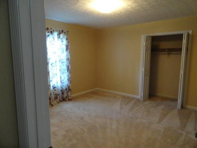 1317 Panhandle Way, Hampton, GA 30228 photo 8