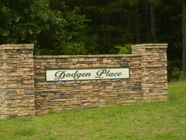 149 Dodgen Place Dr, Hampton, GA 30228 photo 15