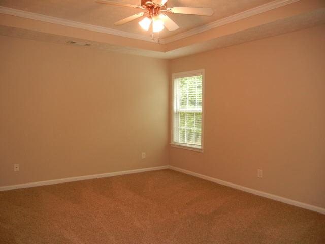 149 Dodgen Place Dr, Hampton, GA 30228 photo 9