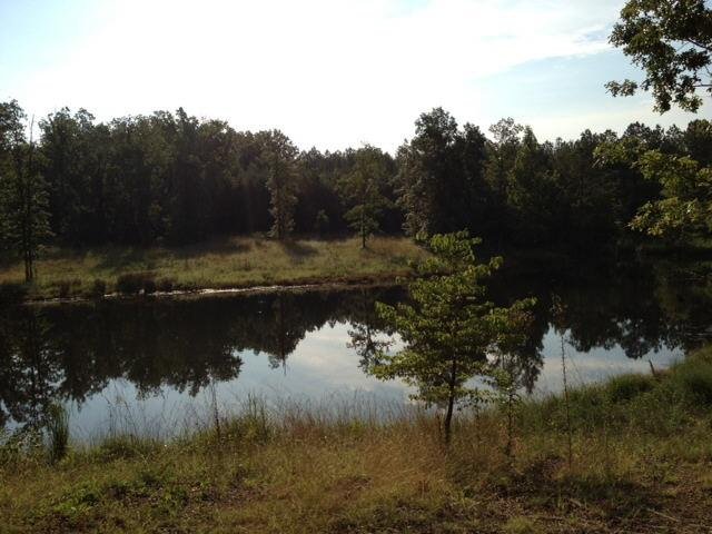 920 Melson, Cave Spring, GA 30124 photo 2