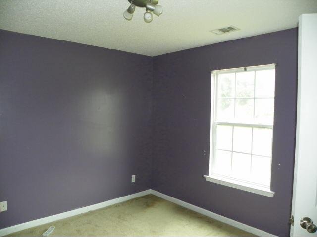113 Dailey, Guyton, GA 31312 photo 10