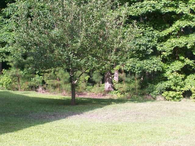 1389 Thrash Rd, Lagrange, GA 30241 photo 5