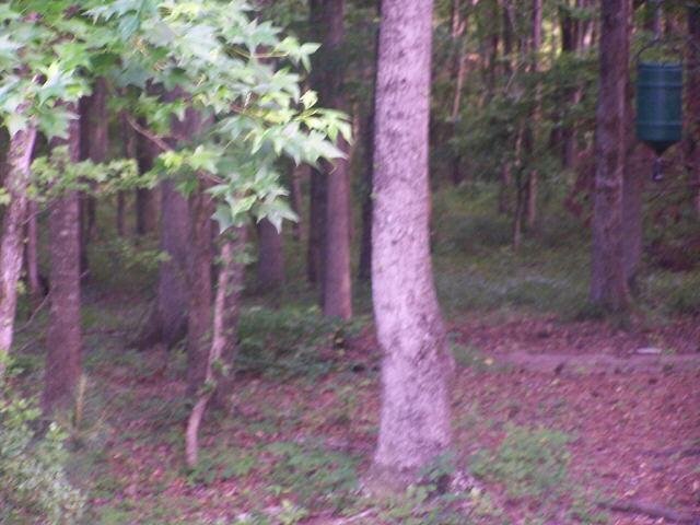 1389 Thrash Rd, Lagrange, GA 30241 photo 6
