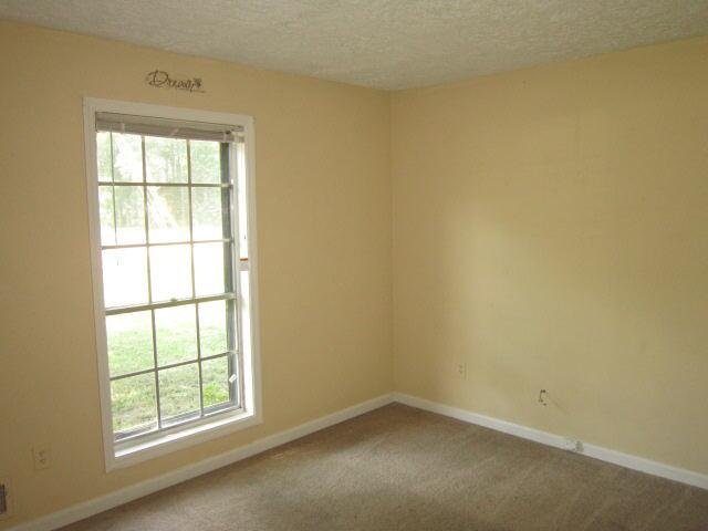 169 Caldwell Dr, Hampton, GA 30228 photo 4