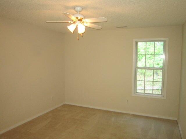 446 Old Ivy Path, Mcdonough, GA 30253 photo 3