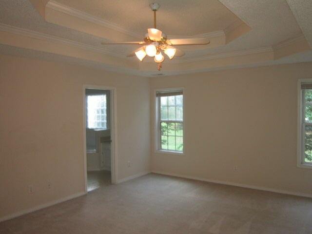 446 Old Ivy Path, Mcdonough, GA 30253 photo 2