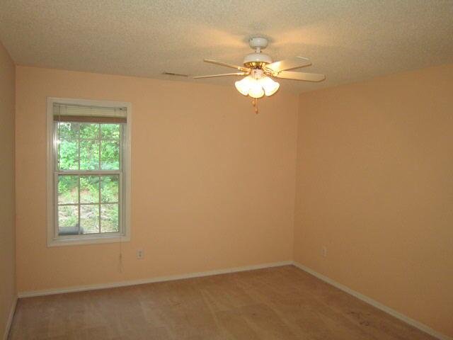 446 Old Ivy Path, Mcdonough, GA 30253 photo 8