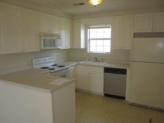1810 Live Oak Ln, Hampton, GA 30228 photo 2