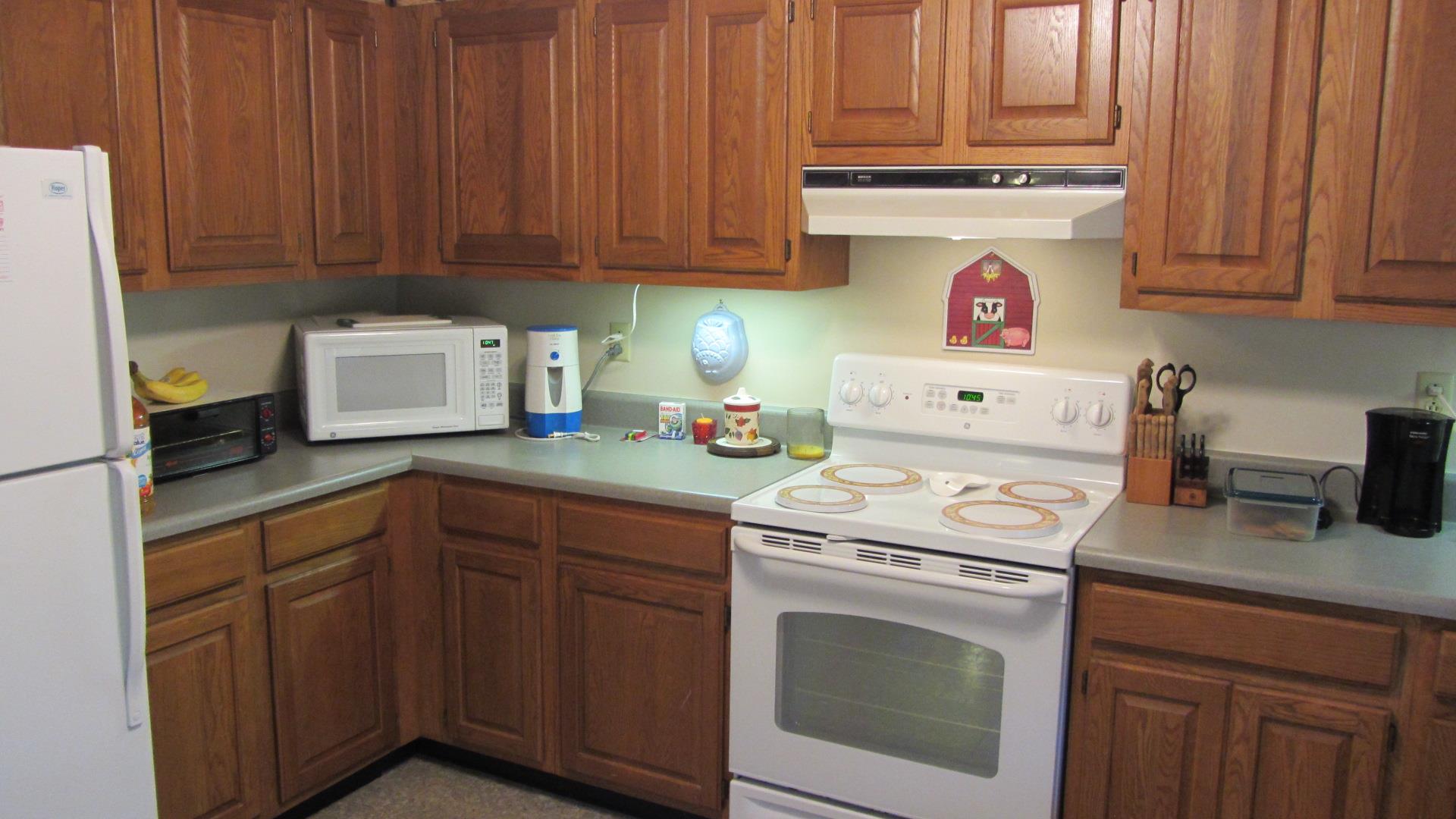 209 Skyview Dr, Clarkesville, GA 30523 photo 4