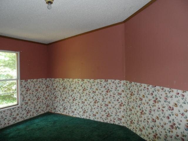 52 Almond Dr, Comer, GA 30629 photo 5