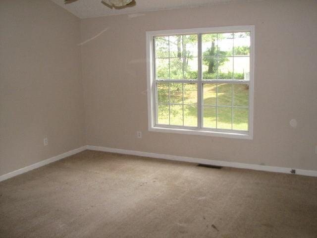 640 Rivermill Rd, Bethlehem, GA 30620 photo 11