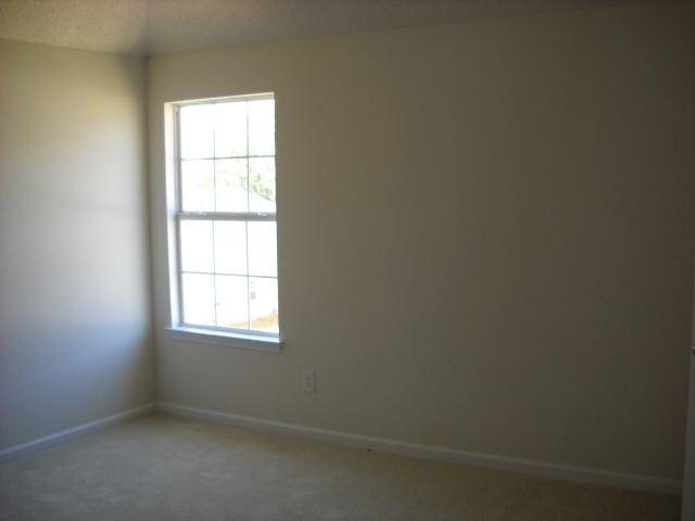 11925 Markham Way, Hampton, GA 30228 photo 11