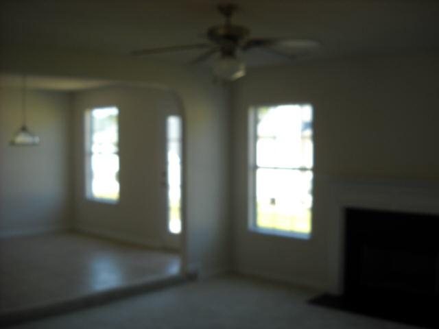 11925 Markham Way, Hampton, GA 30228 photo 5
