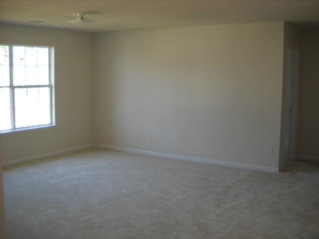 11925 Markham Way, Hampton, GA 30228 photo 10