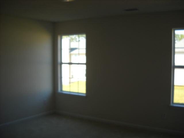 11925 Markham Way, Hampton, GA 30228 photo 4