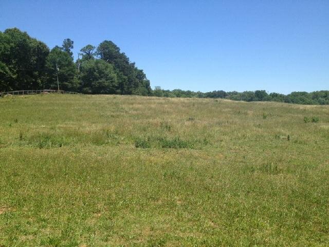 290 Hicks Rd, Canton, GA 30115 photo 4