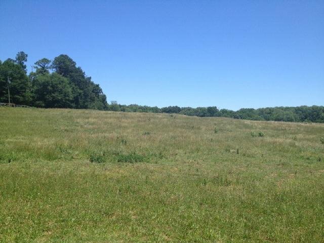 290 Hicks Rd, Canton, GA 30115 photo 9