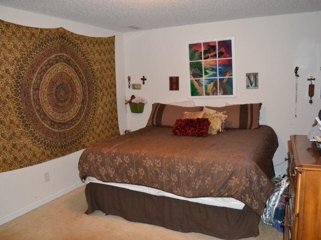 275 Springbrook Ct, Jefferson, GA 30549 photo 9