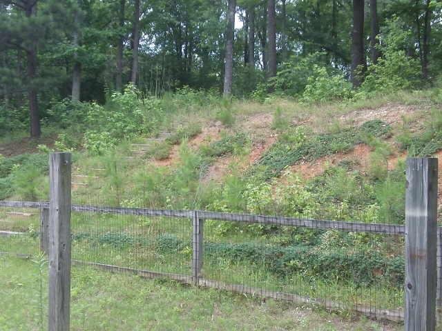 2035 Southers Cir, Suwanee, GA 30024 photo 8
