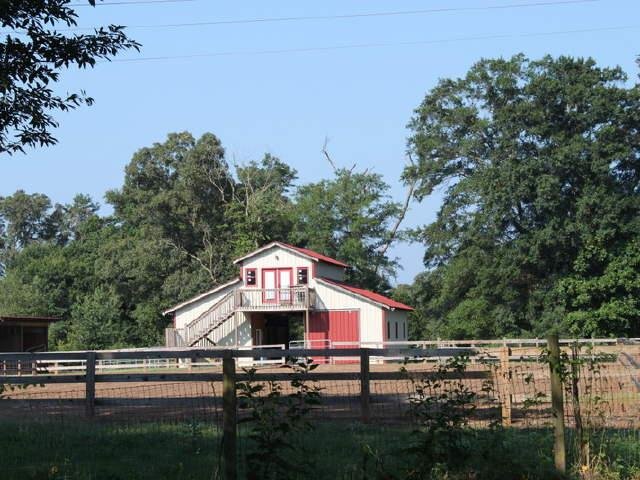 4181 Highway 320, Carnesville, GA 30521 photo 11
