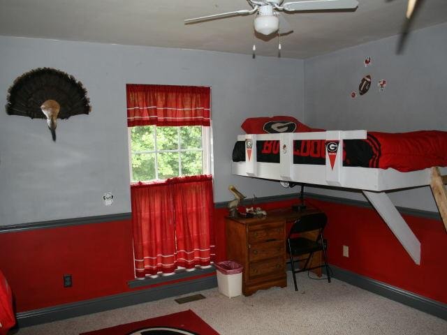 536 Old River Rd, Cornelia, GA 30531 photo 12