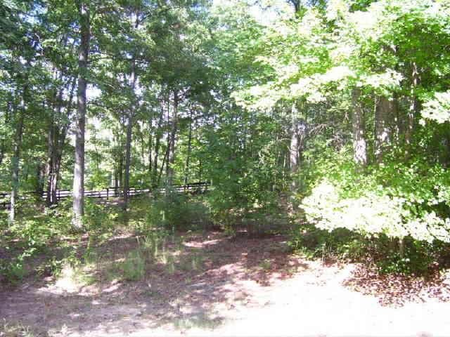 39 Maple Trce, Temple, GA 30179 photo 13