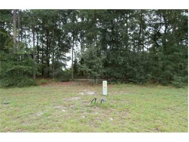 154 Whirlwind Way, Guyton, GA 31312 photo 2