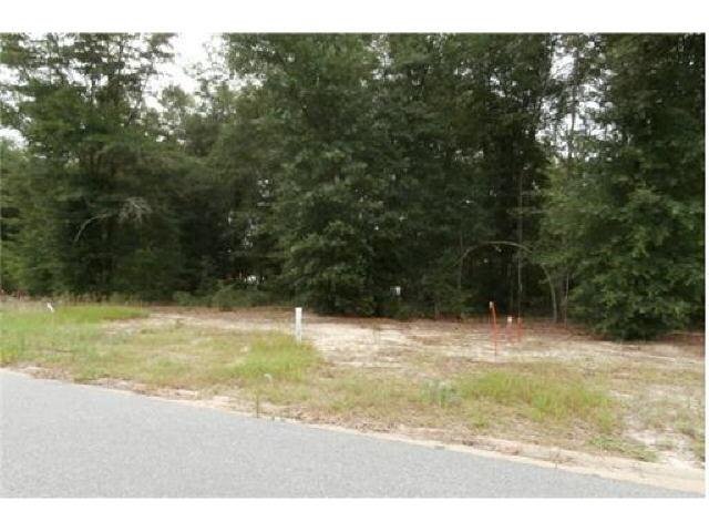 154 Whirlwind Way, Guyton, GA 31312 photo 3