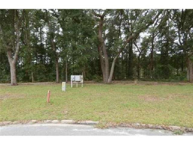 154 Whirlwind Way, Guyton, GA 31312 photo 1