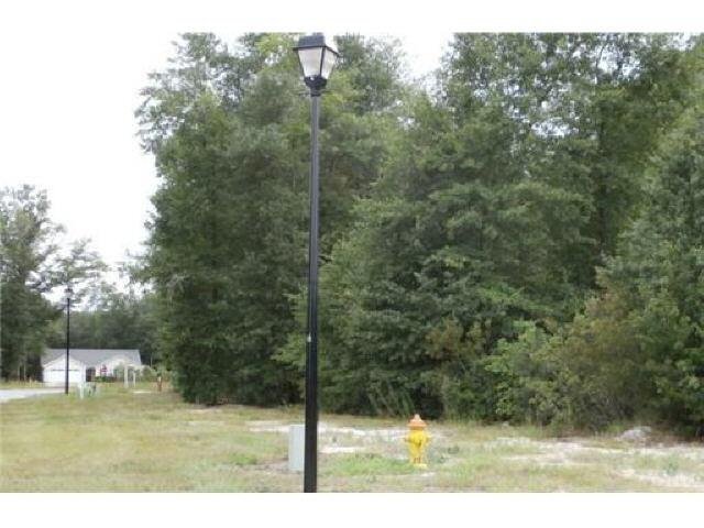 154 Whirlwind Way, Guyton, GA 31312 photo 7