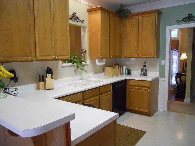 1005 Olive Dr, Hampton, GA 30228 photo 6