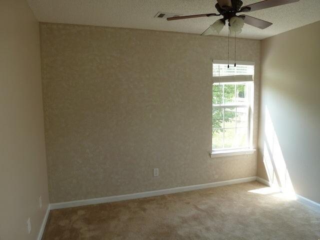 152 River View Ct, Hampton, GA 30228 photo 8