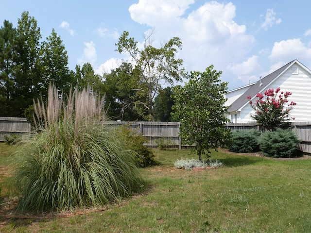 152 River View Ct, Hampton, GA 30228 photo 11